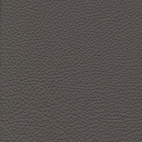 2150 - Visone