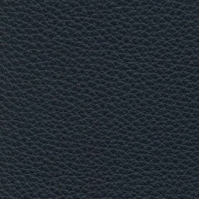 4008 - Petrolio