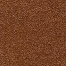 4010 - Cognac