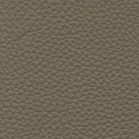 1603 - Taupe