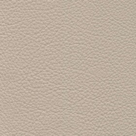 1511 - Beige