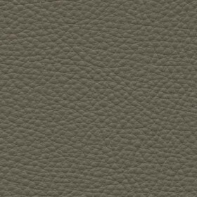1519 - Visone