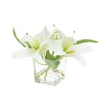 Lilies in cube vase
