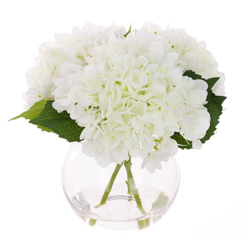WHITE HYDRANGEAS IN GLOBE