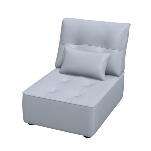 Arianne Leather B Module