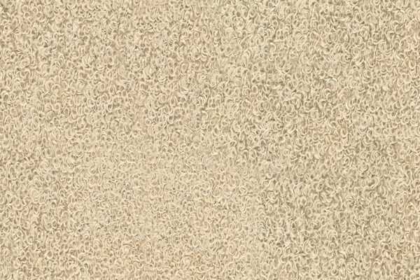 Nassau 05 Sand