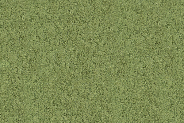 Nassau 38 Green