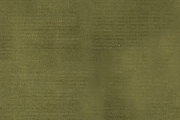 Velsatis 059