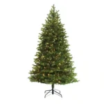 Norway Spruce