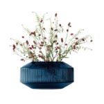 Rotunda Wide Vase H14cm from LSA