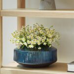 Rotunda Wide Vase H14cm from LSA