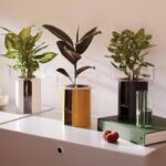Terrazza Mustard Planter H22cm from LSA