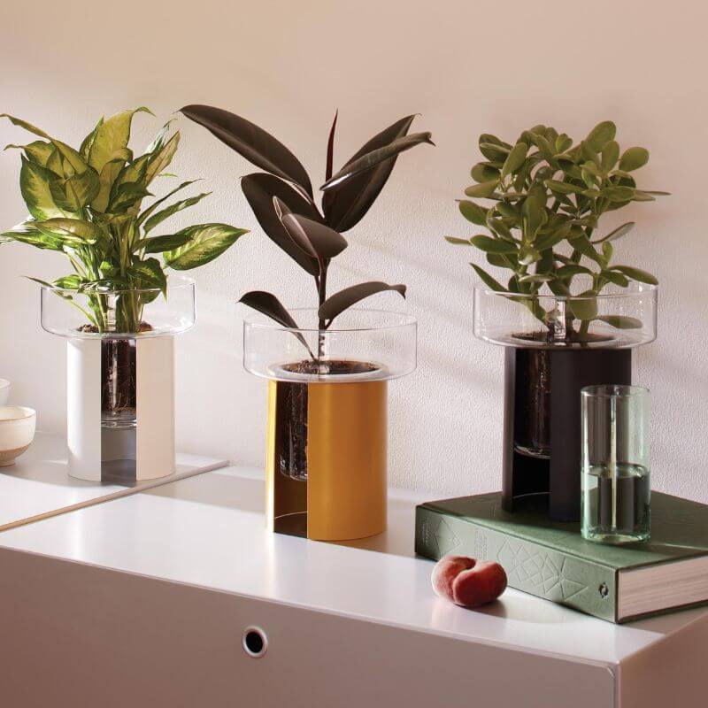 Terrazza Mustard Planter H22cm from LSA
